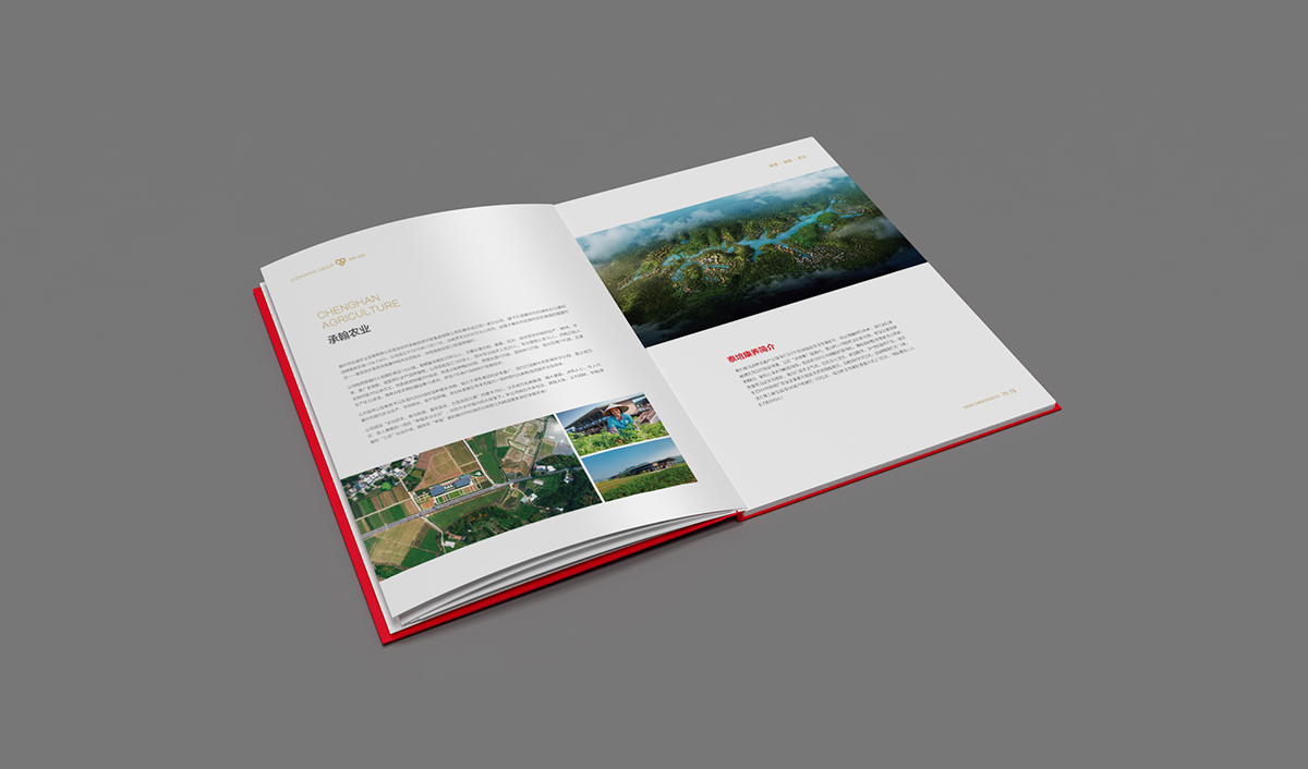 承翰集團(tuán)品牌形象塑造,二十周年畫(huà)冊(cè)設(shè)計(jì)_全力設(shè)計(jì)